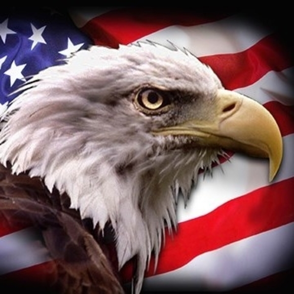 Meet your Posher, Veleah - Picture 1 of 1